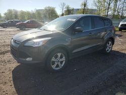 Salvage cars for sale from Copart Central Square, NY: 2015 Ford Escape SE