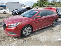 Vehiculos salvage en venta de Copart Opa Locka, FL: 2016 Hyundai Sonata Hybrid