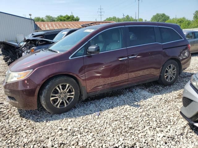 2013 Honda Odyssey EXL