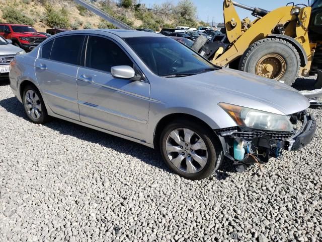 2010 Honda Accord EXL