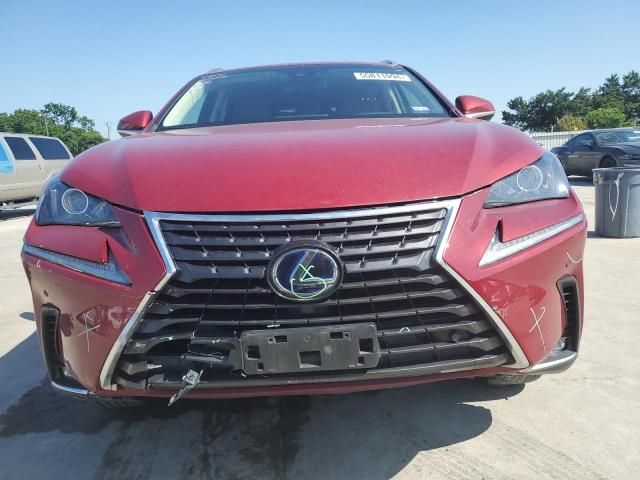 2019 Lexus NX 300H