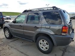 2002 Ford Escape XLT for sale in Littleton, CO