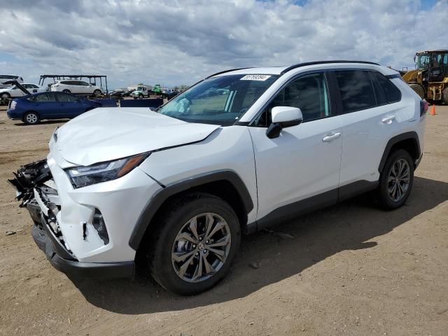 2023 Toyota Rav4 XLE Premium