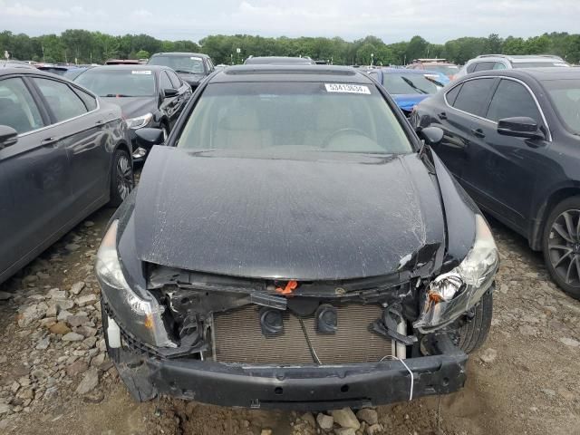 2010 Honda Accord EXL