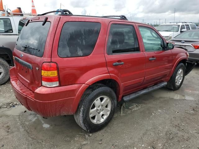 2007 Ford Escape XLT