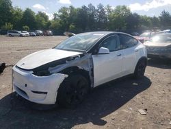 2023 Tesla Model Y en venta en Madisonville, TN