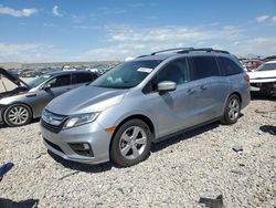 Honda salvage cars for sale: 2018 Honda Odyssey EXL