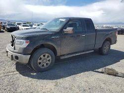 Ford Vehiculos salvage en venta: 2014 Ford F150 Super Cab