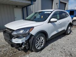 2021 Ford Escape SE for sale in Earlington, KY