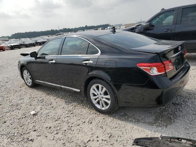 2011 Lexus ES 350