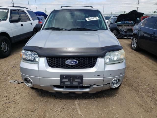 2005 Ford Escape Limited