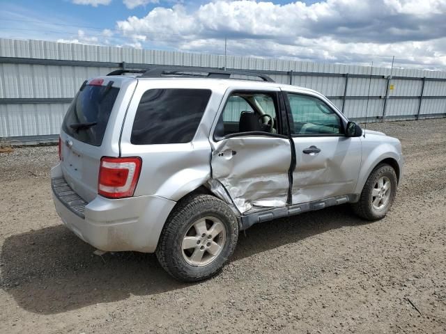 2010 Ford Escape XLS