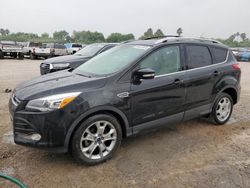 Salvage cars for sale from Copart Mercedes, TX: 2014 Ford Escape Titanium