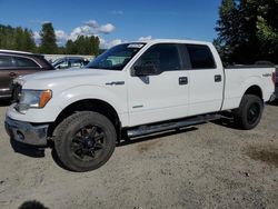 Salvage cars for sale from Copart Arlington, WA: 2012 Ford F150 Supercrew