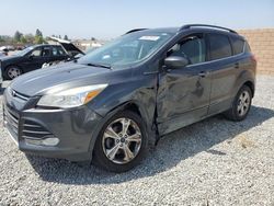 Ford salvage cars for sale: 2016 Ford Escape SE