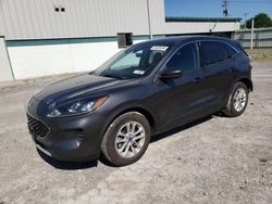 Ford salvage cars for sale: 2020 Ford Escape SE