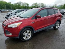 Ford Escape Vehiculos salvage en venta: 2013 Ford Escape SE