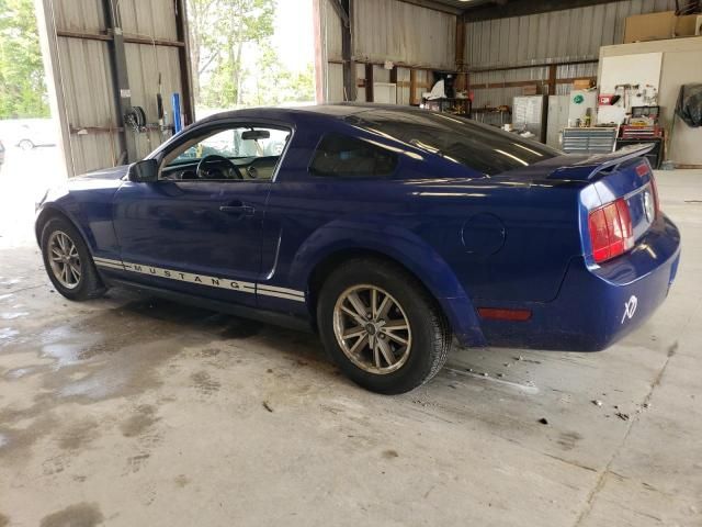 2005 Ford Mustang