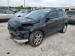 2013 Ford Escape SEL en venta en Indianapolis, IN