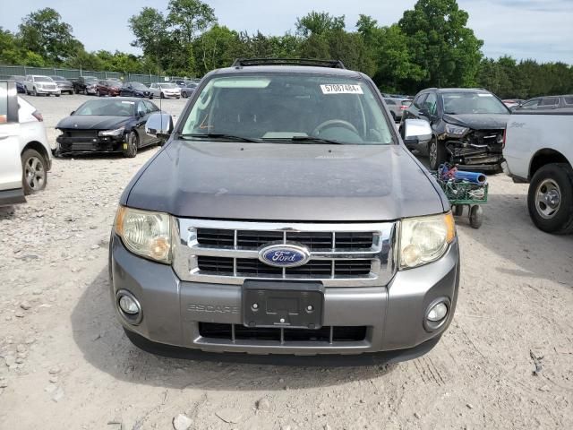 2010 Ford Escape XLT