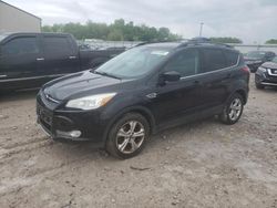 2013 Ford Escape SE en venta en Lawrenceburg, KY