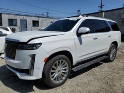 Cadillac Escalade Vehiculos salvage en venta: 2021 Cadillac Escalade Premium Luxury