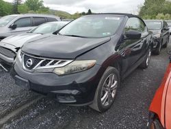 Nissan Murano salvage cars for sale: 2011 Nissan Murano Crosscabriolet