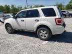 2012 Ford Escape XLS