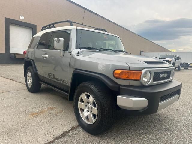 2010 Toyota FJ Cruiser