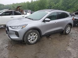 Salvage cars for sale from Copart Marlboro, NY: 2023 Ford Escape Active