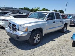 Dodge Dakota salvage cars for sale: 2005 Dodge Dakota Quad SLT