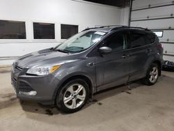 2014 Ford Escape SE for sale in Blaine, MN