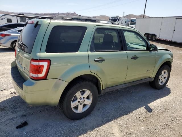 2010 Ford Escape Hybrid