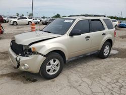 Vehiculos salvage en venta de Copart Indianapolis, IN: 2010 Ford Escape XLT