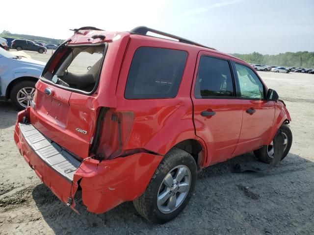 2009 Ford Escape XLT