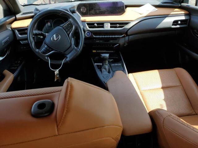 2019 Lexus UX 250H