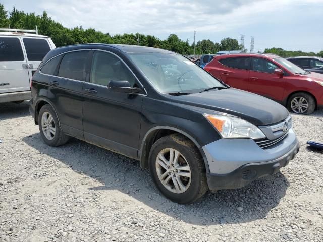 2010 Honda CR-V EXL