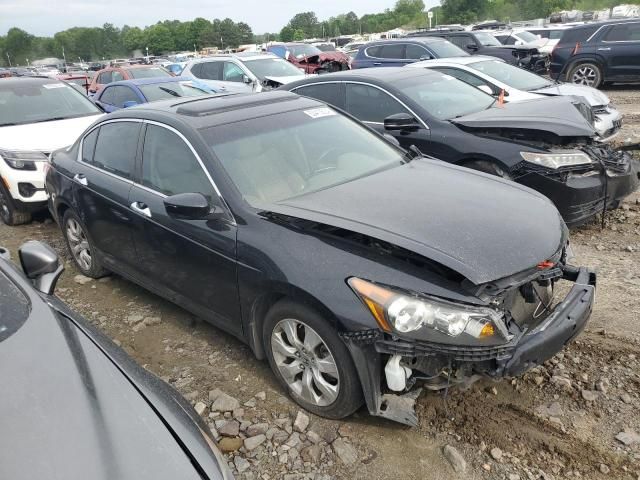 2010 Honda Accord EXL