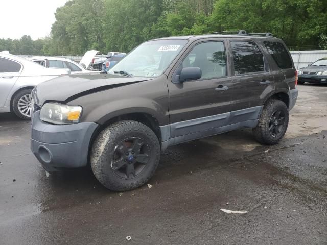 2007 Ford Escape XLT