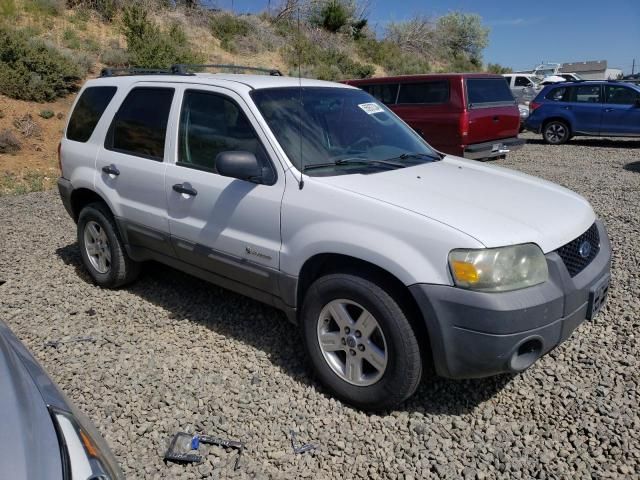 2006 Ford Escape HEV