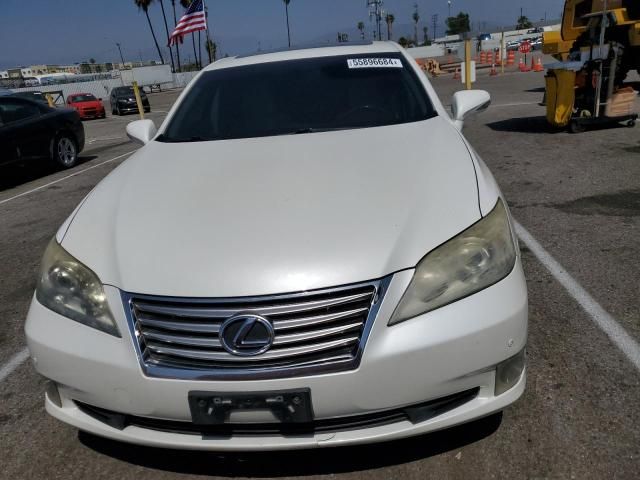 2010 Lexus ES 350