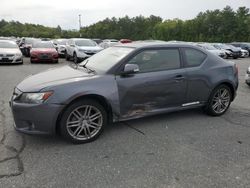 Scion TC salvage cars for sale: 2013 Scion TC