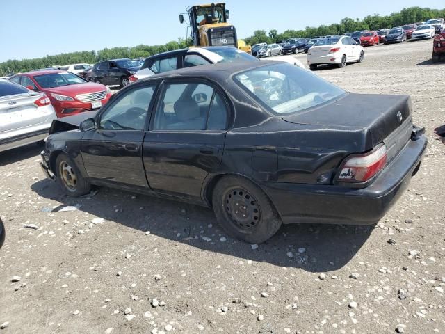 1996 Toyota Corolla