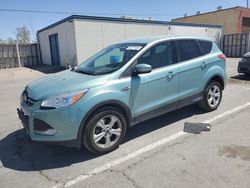 Salvage cars for sale from Copart Anthony, TX: 2013 Ford Escape SE