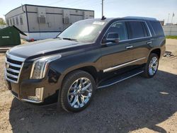 Salvage cars for sale from Copart Bismarck, ND: 2019 Cadillac Escalade Premium Luxury