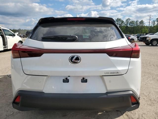 2024 Lexus UX 250H Premium