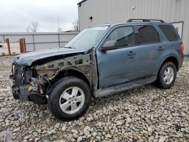 2011 Ford Escape XLT