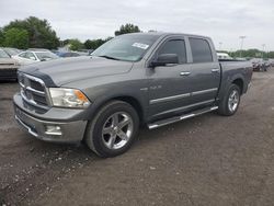 Salvage cars for sale from Copart Finksburg, MD: 2010 Dodge RAM 1500