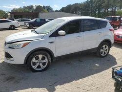 Ford salvage cars for sale: 2014 Ford Escape SE