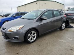 2014 Ford Focus SE en venta en Haslet, TX